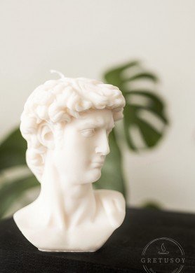 Sojų vaško žvakė Dovydas