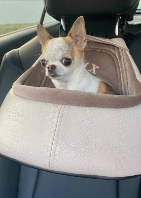 Automobilinė kėdutė šunims 5 L+