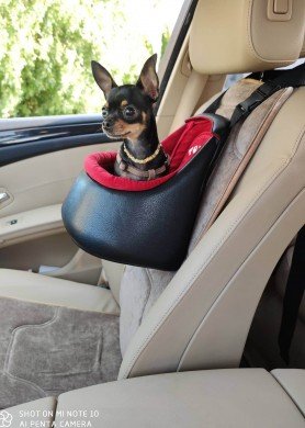 Automobilinė kėdutė šunims 2 XXL