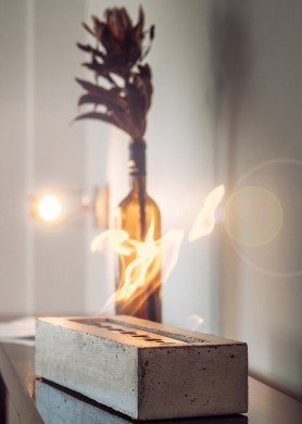 BIOŽIDINYS URBA PILKAS