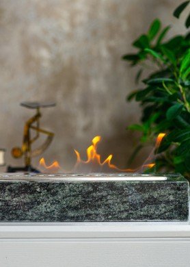 BIOŽIDINYS STONO ŽALIAS