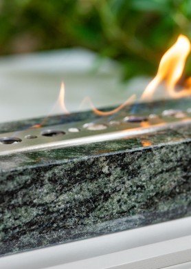 BIOŽIDINYS STONO ŽALIAS