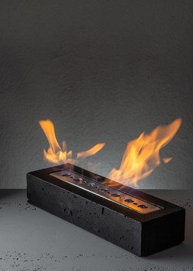 BIOŽIDINYS URBA JUODAS