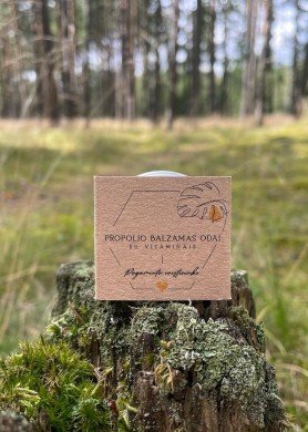Propolio balzamas odai 15g
