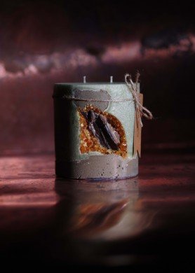 Žalia žvakė betone su medžiu