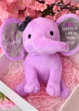 Violetinis drambliukas su metrikais