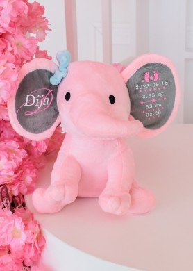 Rožinis drambliukas su metrikais