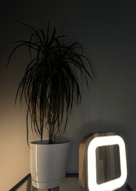 Naktinis šviestuvas