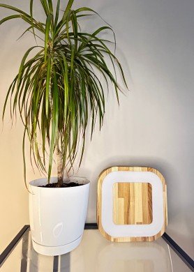 Naktinis šviestuvas