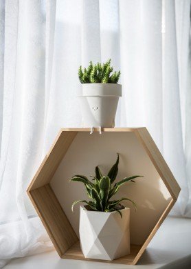 Vazonėlis „Knygius“, matinė balta