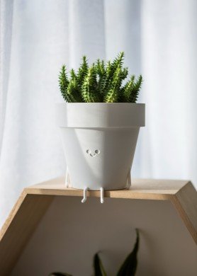 Vazonėlis „Knygius“, matinė balta