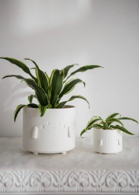 Vazonėlis „Katinėlis“, matinė balta