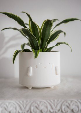 Vazonėlis „Katinėlis“, matinė balta