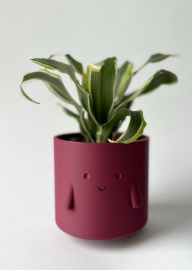 Pieštukinė „Šypsniukas“, matinė bordo spalva