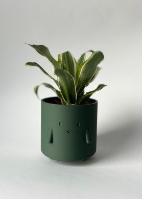 Pieštukinė „Šypsniukas“, matinė tamsiai žalia spalva