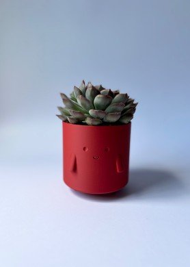 Pieštukinė „Šypsniukas“, tamsiai raudona spalva