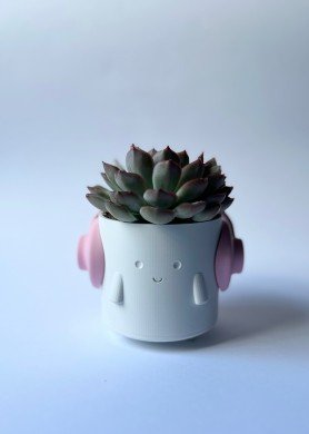 Pieštukininė - vazonėlis ,,Itiščikė“