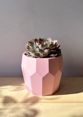 Vazonas - pieštukinė „Korys“ didelis