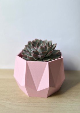 Vazonas - pieštukinė „Aitvaras“ didelis