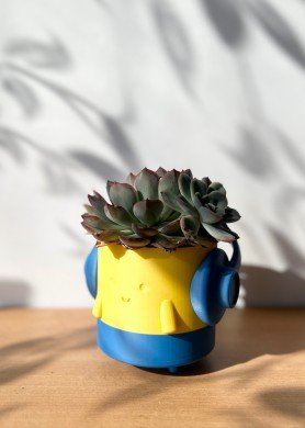 Pieštukinė-vazonėlis „Mėlyna/Geltona“