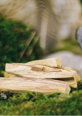 Palo santo medis smilkymui