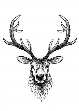 Vektorinės grafikos piešinys ,,elnias"