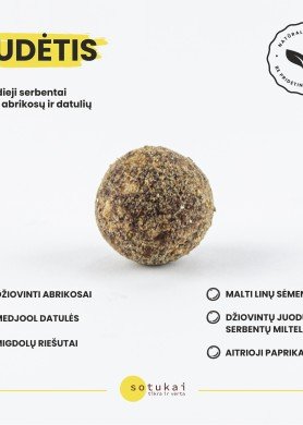 Sotukai su juodaisiais serbentais - supermaisto energijos rutuliukai