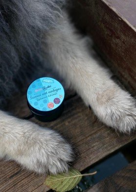 Pėdučių ir nosyčių balzamas ŠUNIUI ANT UODEGOS